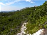 Planina Ravne - Chapel on Molička planina